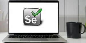 Selenium Training in Coimbatore