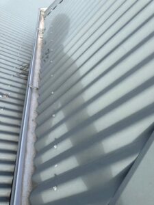 Expert Gutter Cleaning Services in Ballarat and Fitzroy