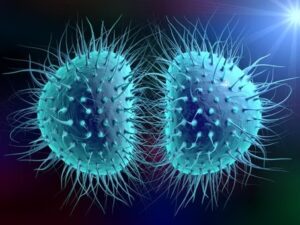 Understanding SSI Eligibility for Meningitis