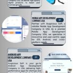 Top-Custom-Software-Development-Company-USA-Auspicious-Soft-2.jpg