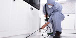 Cost-Effective Building Refurbishment: The Power of Cladding and Window Frame Spraying