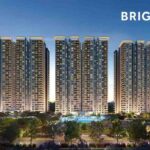 brigade-avalon-1-copy.jpg