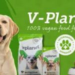 dog-food.jpg