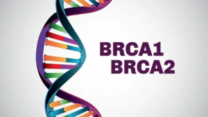 BRCA1 and BRCA2 Genes: What They Reveal About Cancer Risk