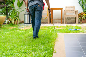 How to Protect Your Wooden Furniture from Termites?
