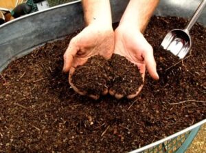 Unlocking Agricultural Potential with Microbiome Farming Innovation