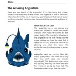 imgi_72_Grade_2_animal_fact_reading_test.jpeg