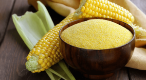 Oil Meal – Fueling Livestock, Sustaining Growth