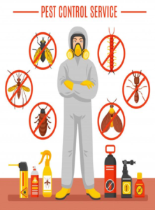 Pest Control SEO: The Ultimate Guide to Ranking Your Pest Control Business Online