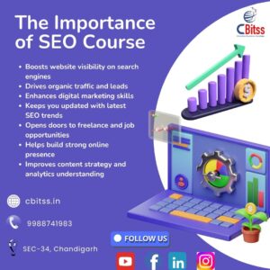 How Do SEO Strategies Evolve with Google Algorithm Updates?