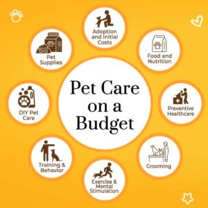 Full-Service Veterinary Hospital in Vancouver, BC