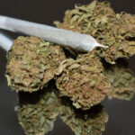 weed3.jpg