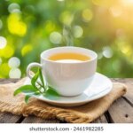 white-tea-cup-refreshing-hot-260nw-2461982285.jpeg