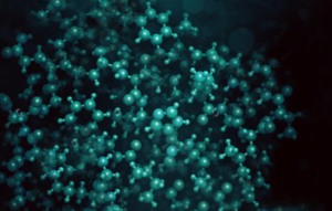 Revolutionizing Cancer Care: Immune Checkpoint Therapy and Small Molecule Drug Innovations