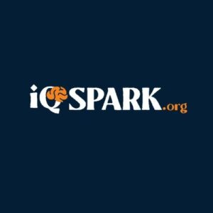 Taking an Online IQ Test: What to Expect and How to Prepare