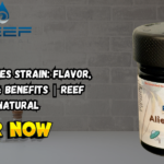 Alien-Cookies-Strain-Flavor-Effects-Benefits-Reef-Natural.png