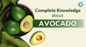 Is Avocado good for Diabetes?