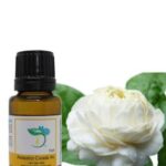 Jasmine-Sambac-Absolute-Oil.jpg