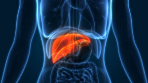 Liver Cancer Diagnostics Market Insights: Trends, Growth & Future Outlook