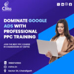 PPC-Course-in-Chandigarh.jpg