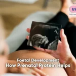 PROTEINS-ROLE-IN-FOETAL-DEVELOPMENT.webp