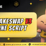 Plurance-Pancakeswap-Clone.jpg