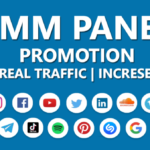 SMM-Panel.png