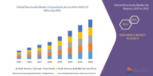 shoe Insole Market Expands Globally with Increasing Focus on Foot Comfort and Health