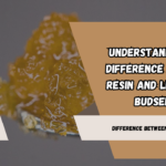 Understanding-the-Difference-Between-Resin-and-Live-Resin-BudSense.png