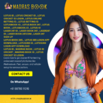 What-is-Lotus-Book-3.png