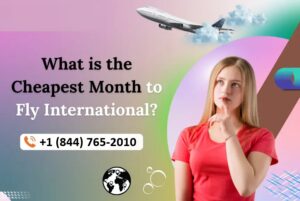 How to add bookings to Lufthansa?