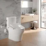 bidet-seats-toto-washlet-c2-bidet-toilet-elongated-seat-with-side-panel-controls-sw3074-2_08e53d86-4d97-4bf0-9a0d-93876913c313.webp