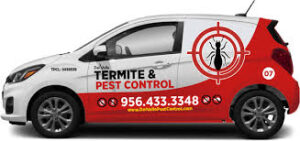 Pest Control in Laredo, TX: Keeping Homes Safe and Pest-Free