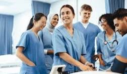 NURS FPX 4015 Assessment 4: Presenting the Strategic Plan