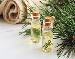 Global Pine Derived Chemicals Market Outlook: Trends & Forecast 2022–2032