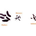imgi_23_Brand-Guidlines-Crea-Unlimited.png-1.jpeg