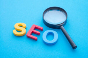 SEO Agency Noida – Village Kyte