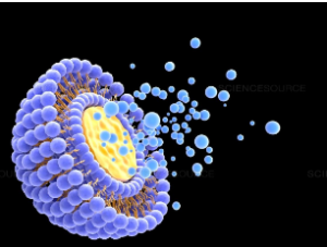 Exploring Lipid-Based Delivery System Development in the Lab
