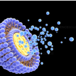liposome-products.png