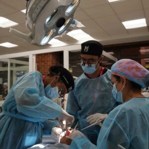Live Implant Training by Miami Institute