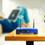 wifi-internet-connection-service.jpg