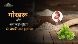 गोखरू और अन्य जड़ी-बूटियां से पथरी का इलाज