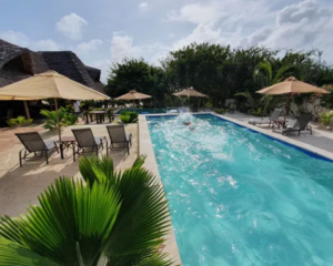 Beleef de ultieme Zanzibar-vakantie: uw perfecte safari-avontuur in Afrika