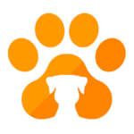 308835062_527928489336697_3142394118880331849_n.png