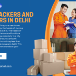 Best-Packers-and-Movers-in-Delhi.png