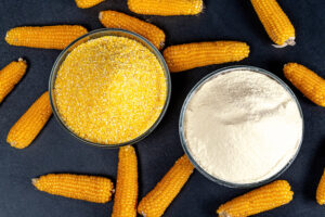 Corn Flour Powder Manufacturer in Delhi – Delivering Quality & Consistency for Food Industries