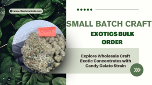Explore Wholesale Craft Exotic Concentrates with Candy Gelato Strain