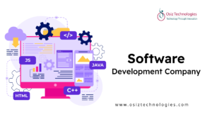  Driving Innovation in the US: How a Software Development Company Shapes Businesses 