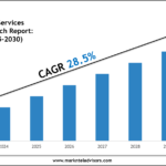 Global-Drone-Services-Market.png