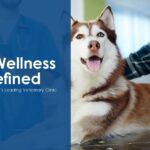 Pet-Wellness-Redefined-–-Discover-Muscats-Leading-Veterinary-Clinic.jpg